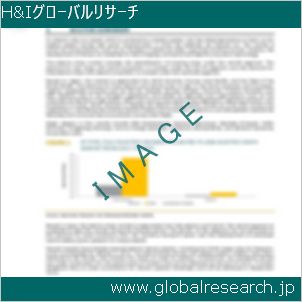 グローバルリサーチ調査レポートのイメージ